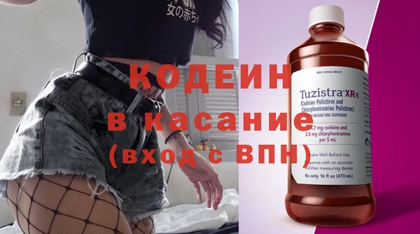 трава Ельня