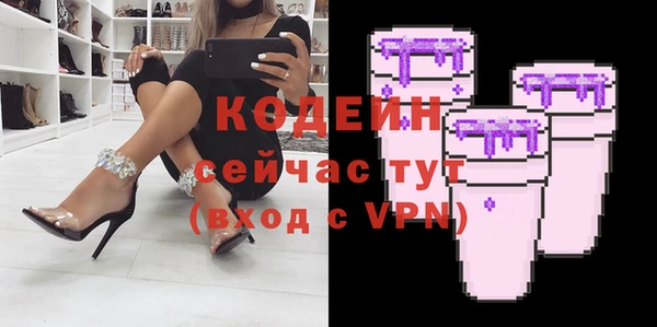 трава Ельня
