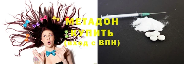 трава Ельня