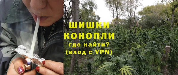 мяу мяу мука Елабуга