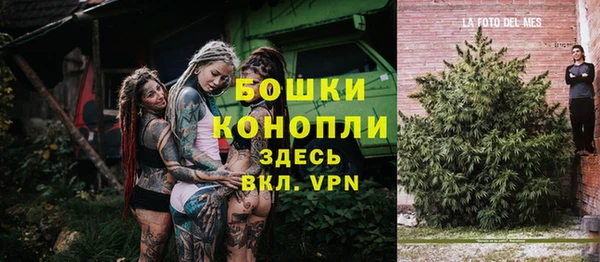 трава Ельня