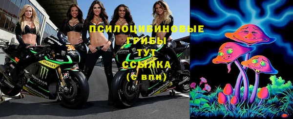 трава Ельня