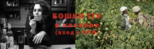 трава Ельня