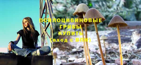 трава Ельня