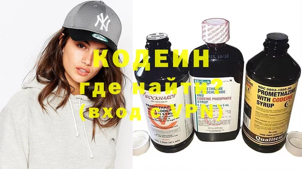 трава Ельня
