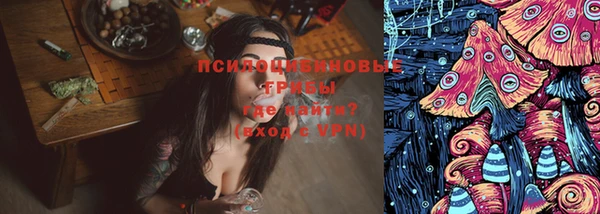 мяу мяу мука Елабуга