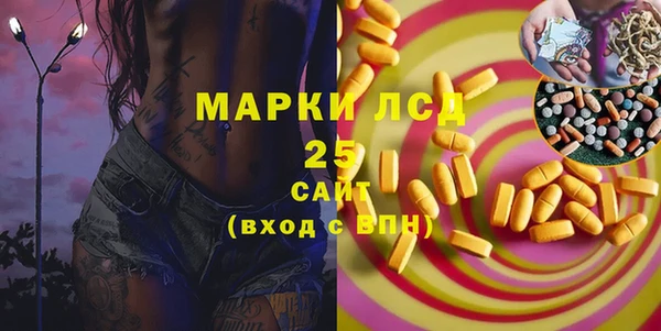 мяу мяу мука Елабуга