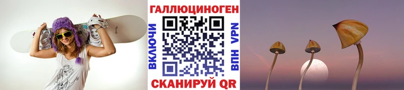 кракен ссылки  Новочебоксарск  Псилоцибиновые грибы прущие грибы  закладка 